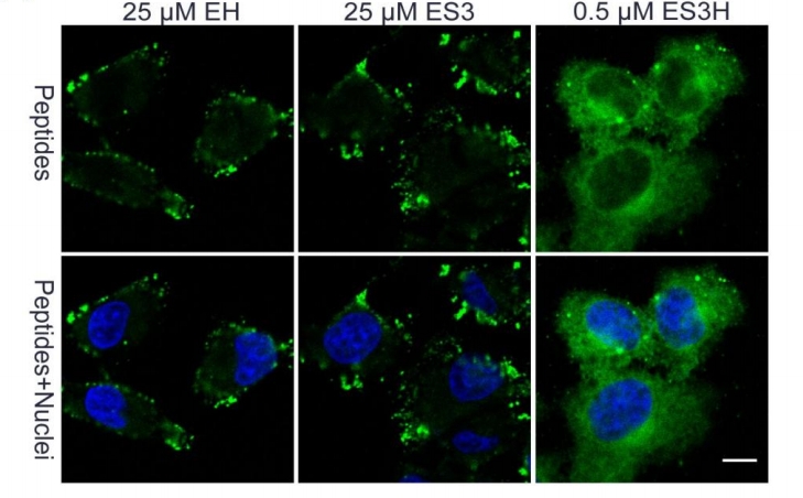 14786782339381.jpg 14786782339381.jpg