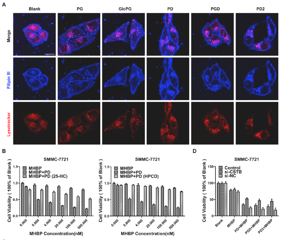 微信截图_20221123144025.png 微信截图_20221123144025.png
